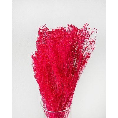 Сухоцвет Brooms Preserved Pink,  6-43766 - купить  в магазине Украфлора по лучшей цене, всего 653 грн