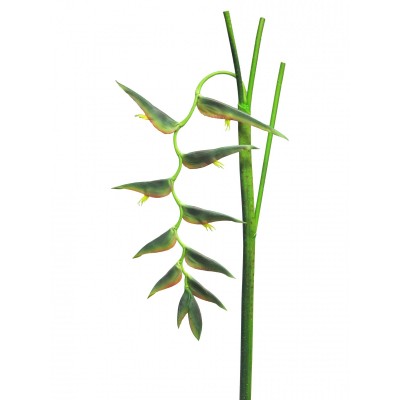 Цветок Heliconia ecosia искусственный в ассортименте,  6-27773 - купить  в магазине Украфлора по лучшей цене, всего 799 грн