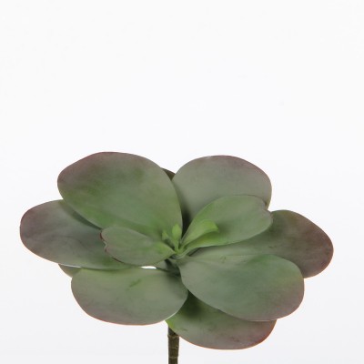 Сукулент искусственный зеленый,  6-26001 - купить  в магазине Украфлора по лучшей цене