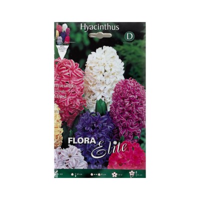 Гиацинт MixedFlora Elite 3 шт.