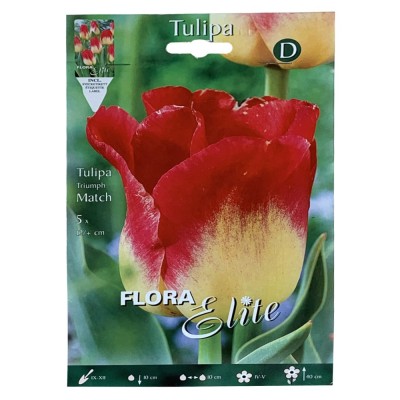 Тюльпан Тріумф MatchFlora Elite 5 шт.