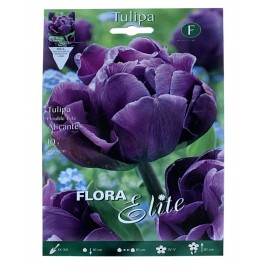 Тюльпан Махровий Alicante Flora Elite 10 шт.