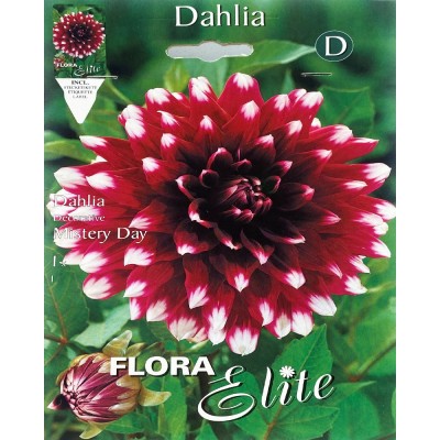 Георгина луковицы Decorative Mistery Day Flora Elite 1 шт/уп,  5-0840 - купить  в магазине Украфлора по лучшей цене