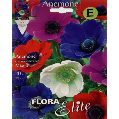 Анемона луковицы de Caen цвета микс Flora Elite 20 шт/уп,  6-32516 - купить  в магазине Украфлора по лучшей цене