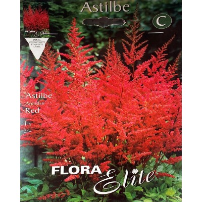 Астильба луковицы Arendsii Red Flora Elite 1 шт/уп,  5-1124 - купить  в магазине Украфлора по лучшей цене