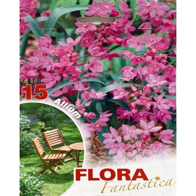 Цибулинні Oreophilum Flora Fantastica 15 шт/уп, 421003 - купити в магазині Украфлора за найкращою ціною