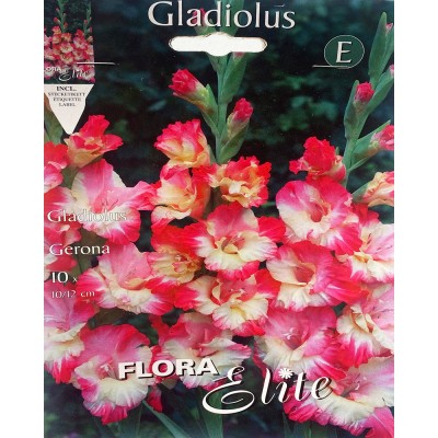 Гладиолус луковицы Large Gerona Flora Elite 10 шт/уп,  6-35897 - купить  в магазине Украфлора по лучшей цене, всего 90 грн