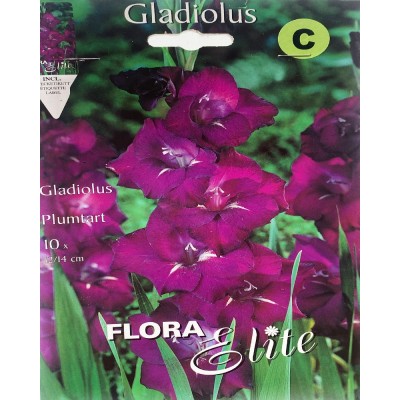 Гладиолус луковицы Large Plumtart Flora Elite 10 шт/уп,  5-1039 - купить  в магазине Украфлора по лучшей цене, всего 85 грн