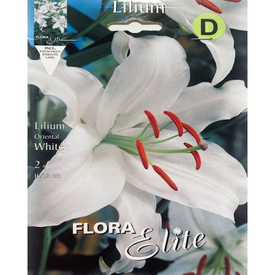Лилия луковицы Oriental White Flora Elite 2 шт/уп,  5-1062 - купить  в магазине Украфлора по лучшей цене