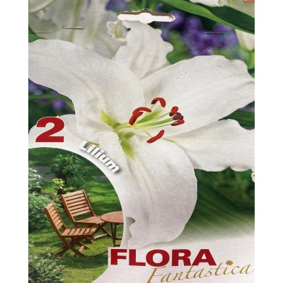Лилия луковицы Oriental White Flora Fantastica 2 шт/уп,  6-6105 - купить  в магазине Украфлора по лучшей цене