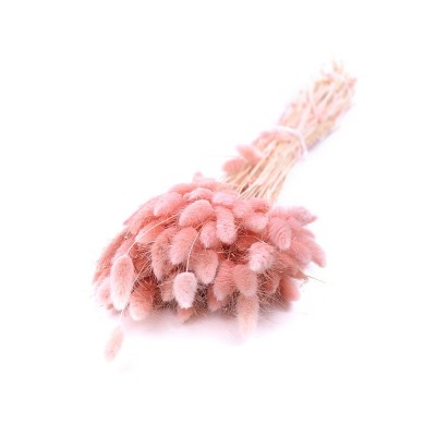 Лагурус Light Pink,  6-5299 - купить  в магазине Украфлора по лучшей цене, всего 496 грн