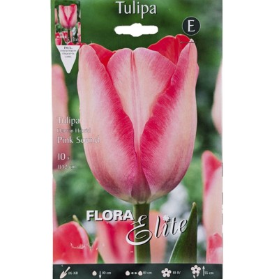 Тюльпан Дарвина Pink Sound/Flora Elite 10 шт/уп,  6-39963 - купить  в магазине Украфлора по лучшей цене, всего 249 грн