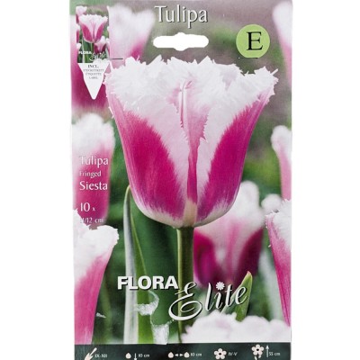 Тюльпан Бахромчастий Siesta/Flora Elite 10 шт/уп