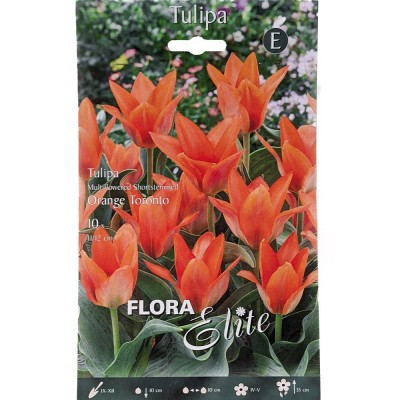 Тюльпан OrangeToronto/Flora Elite 10 шт/уп