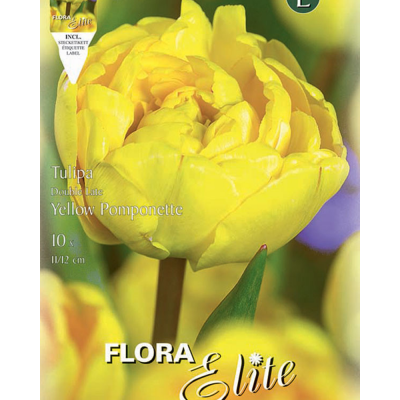 Тюльпан Махровый Yellow PompenetteFlora Elite 10 шт.,  5-3868 - купить  в магазине Украфлора по лучшей цене