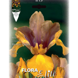 Ірис Hollandica Bronze Queen Flora Elite 10 шт.