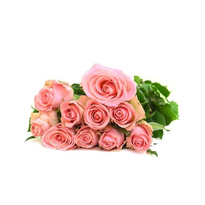 Роза Hermosa,  6-7420 - купить  в магазине Украфлора по лучшей цене, всего 35 грн