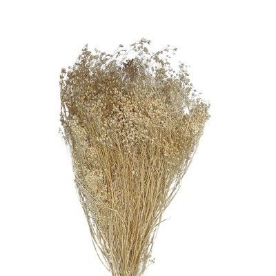 Сухоцвет Brooms Bleached & Preserved,  6-43762 - купить  в магазине Украфлора по лучшей цене, всего 940 грн